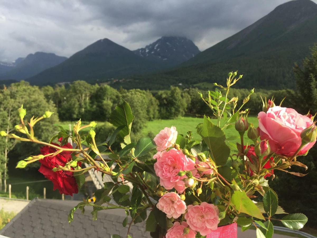 Apartment Dreamvalley Isfjorden Dış mekan fotoğraf